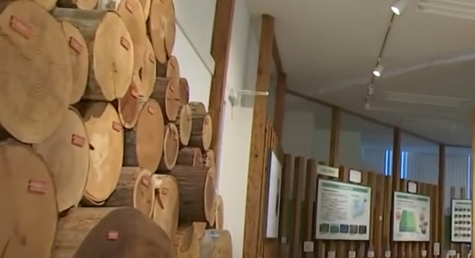 Wood and Plywood Museum