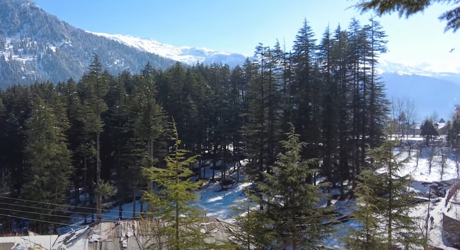 Manali Tour