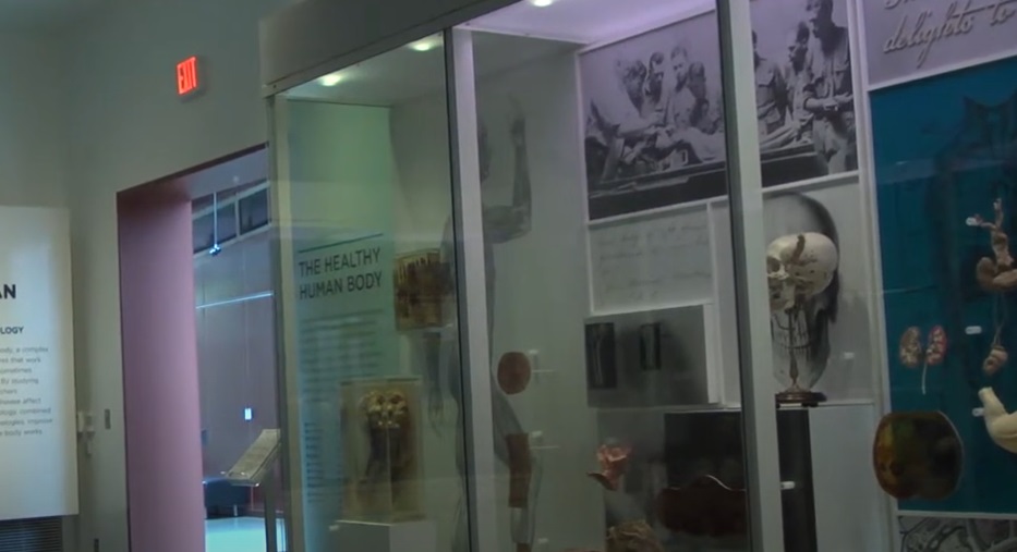 Museum of Health and Medicine